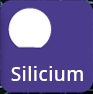 Silicium